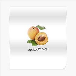 Rex Orange County Posters - Apricot Princess Rex Orange County Poster RB2307
