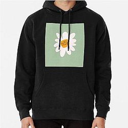 Rex Orange County Hoodies - Rex Orange County Who Cares  FLOWER Pullover Hoodie RB2307