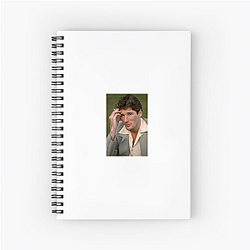 Richard Gere is famous for the film Pretty Woman Richard Gere Notebook