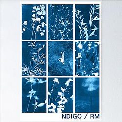 Indigo Poster