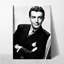 Steely Charm Robert Taylor Posters
