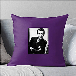 Steely Charm Robert Taylor Pillows Cover