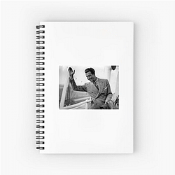 Quiet Authority Robert Taylor Notebook