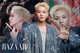 Hoshi Official Store: Essential Gear for K‑Pop Singer Fans