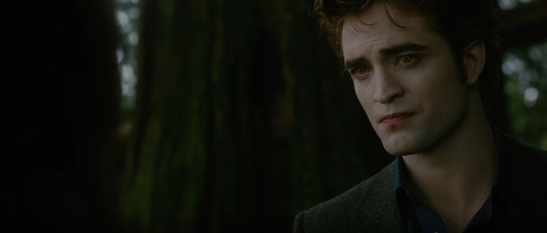 Edward Cullen Store: Actors Who Brought the Vampire to Life