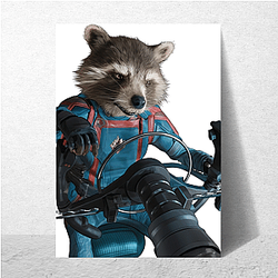 Rocket Raccoon Pilot Expert flyer Rocket Raccoon Posters