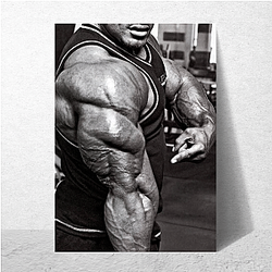 Roelly Winklaar Merch Collection Roelly Winklaar Posters