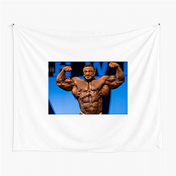 Roelly Winklaar Fan Art Roelly Winklaar Tapestries
