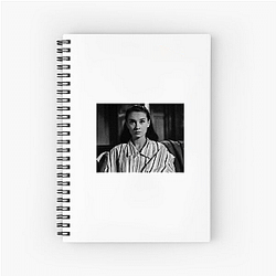 Roman Holiday The World Is A Journey Roman Holiday Notebook