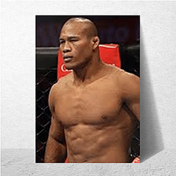 Octagon Star Ronaldo Souza Posters