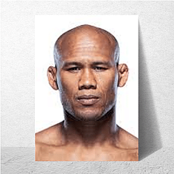 Fight Finisher Ronaldo Souza Posters