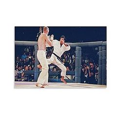 Royce Gracie 3 Canvas Wall Art 12x18inch Unframe-style