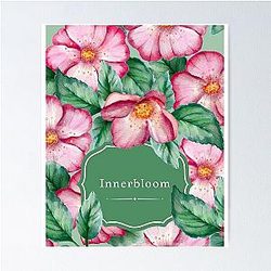 rufus du sol  Innerbloom      Classic TShirt Poster RB1512
