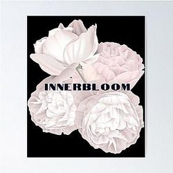 rufus du sol  Innerbloom         Poster RB1512