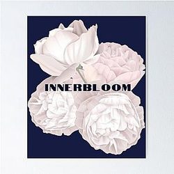 rufus du sol  Innerbloom      Poster RB1512