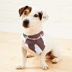 Sabrina Carpenter  Pet Bandanas Premium Merch Store