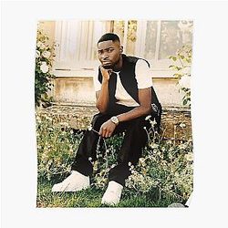 Santan Dave Posters – Santan Dave Street Style Graphic Poster