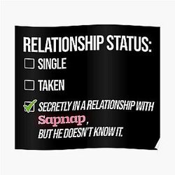 Sapnap Posters - Relationship with Sapnap Poster RB0909