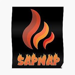 Sapnap Posters - Sapnap Poster RB0909