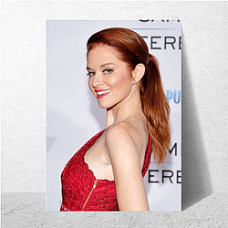 Sarah Drew has also directed episodes of a TV show Sarah Drew Posters