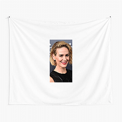Sarah Paulson won an Emmy for her role in The People v O J Simpson Sarah Paulson Tapestries