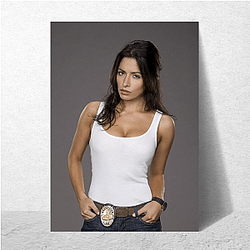 Sarah Shahi had a main role in the Netflix series Sex/Life Sarah Shahi Posters