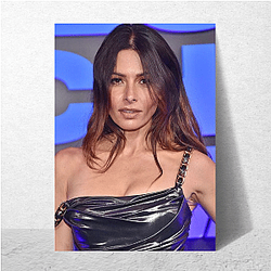 Sarah Shahi was a former NFL cheerleader Sarah Shahi Posters