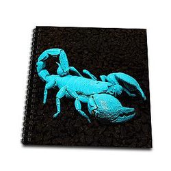Danita Delimont USA California Emperor Scorpion Under Black Light Drawing Book White