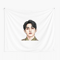S.Coups Powerful Rap Flow S. Coups Tapestries