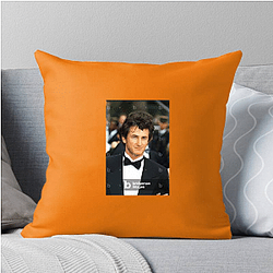 TV Talent Sean Penn Pillows Cover