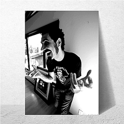 Serj Tankian Always Powerful Always Political Serj Tankian Posters