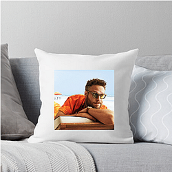 Seth Rogen often collaborates with Evan Goldberg Seth Rogen Pillows Cover
