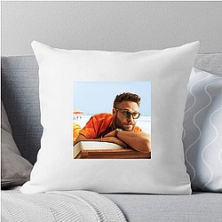 Seth Rogen often collaborates with Evan Goldberg Seth Rogen Pillows Cover