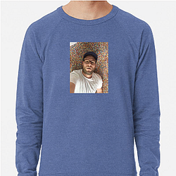Seth Rogen is known for his work in comedy films Seth Rogen Sweatshirts