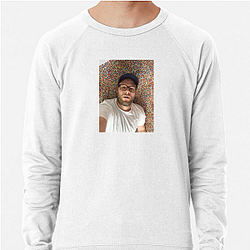 Seth Rogen is known for his work in comedy films Seth Rogen Sweatshirts