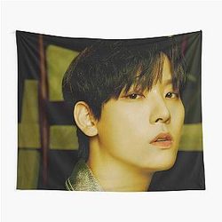 SF9 Inseong Rumination Connect Tapestry