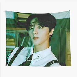 SF9 Youngbin Rumination Scar Tapestry
