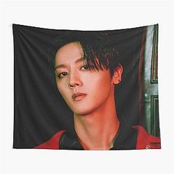 SF9 Youngbin Rumination Blood Tapestry