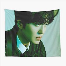 SF9 Chani Rumination Tapestry