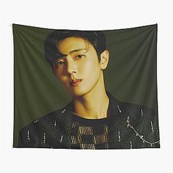 SF9 Jaeyoon Rumination Connect Tapestry