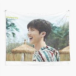 SF9 Chani The Wave OF9 Ray of the sun Tapestry