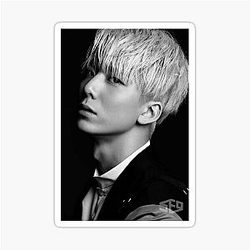 Kim Woojin SF9 Sticker
