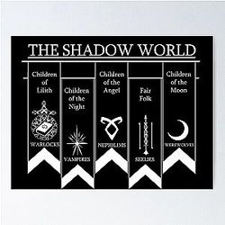 The Shadow World Poster