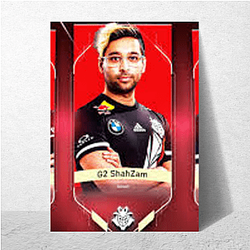 ShahZaM Signature Series Shah Zam Posters