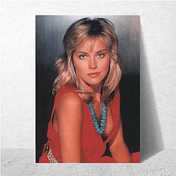Sharon Stone was a prominent sex symbol of the 1990s Sharon Stone Posters