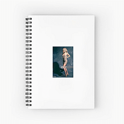 Sharon Stone's career spans several decades Sharon Stone Notebook