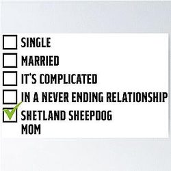 Shetland Sheepdog relationship slogan for mom Poster