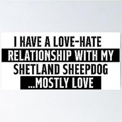 Funny Shetland Sheepdog love hate relationship quote poster