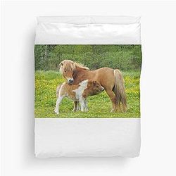 Shetland Pony Cover