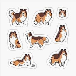 Shetland sheepdog illustration pack Sticker